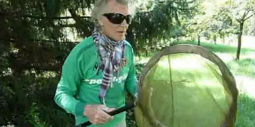 Steve Edge – Weekly Wisdom – 22nd September 2010 - Steve Edge World - Steve Edge Design